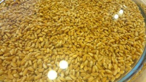 медовая кутья