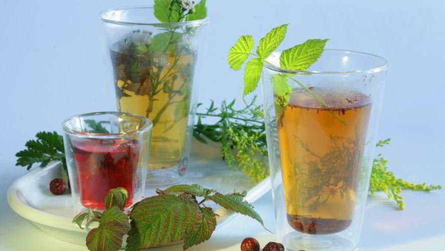 Рецепт чая с шиповником и крапивой