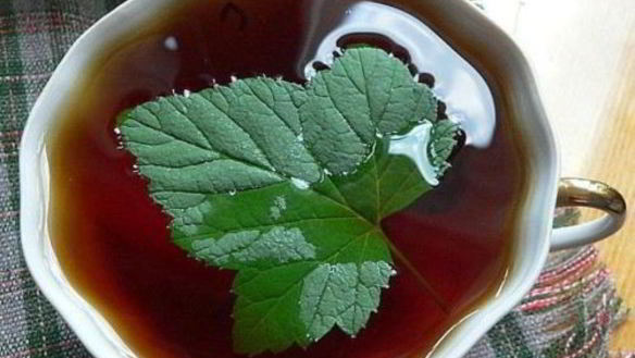 Рецепт Чая татарского со смородиной и медом