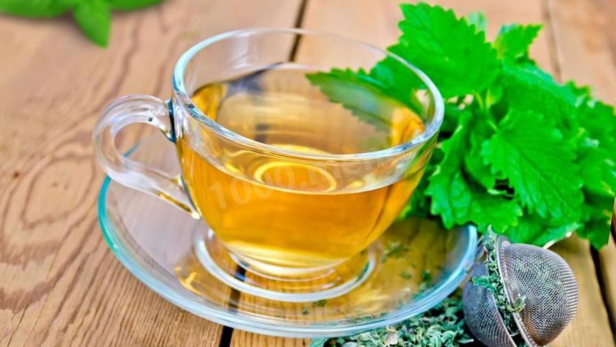 Рецепт чая зеленого с мелиссой