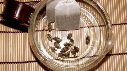 чай зеленый с жасмином