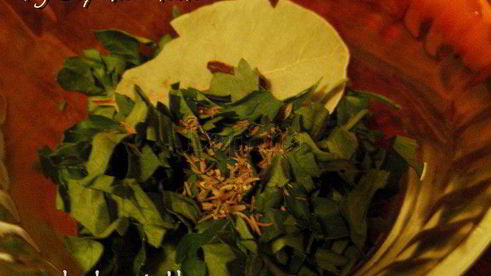 говядина тушенная с овощами