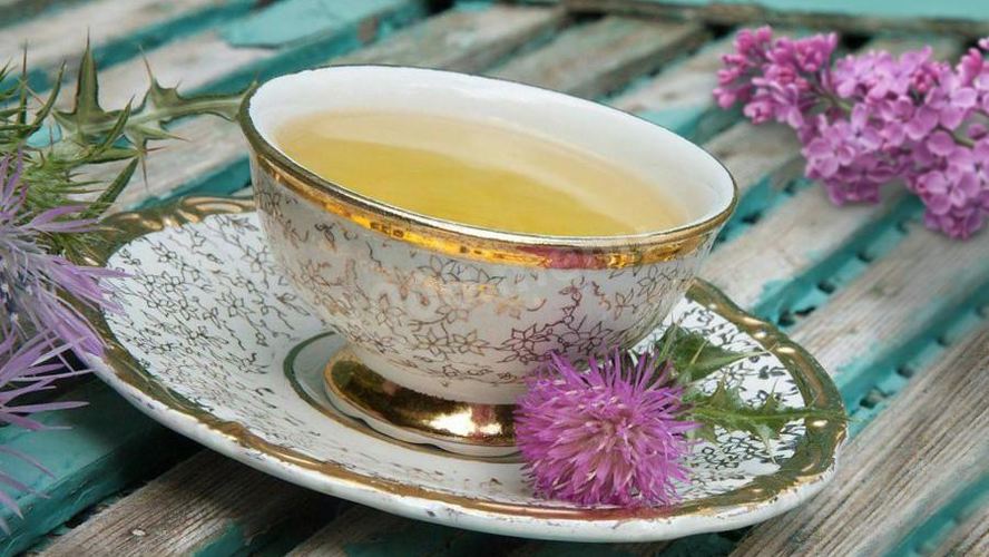 Рецепт расторопши чай