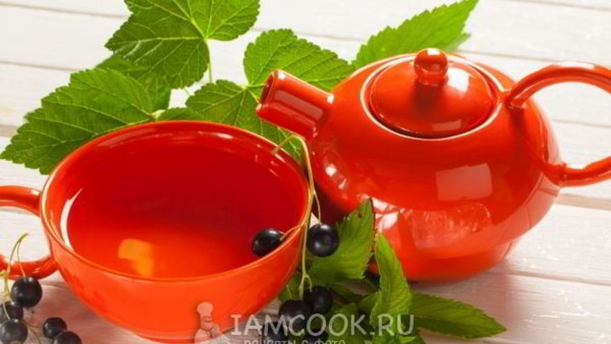 Рецепт смородинового чая