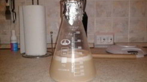 домашнее пиво из концентрата