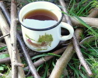 Кофе из корней одуванчика