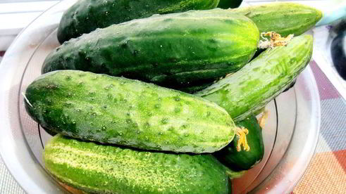 коктейль огуречно-мятная свежесть