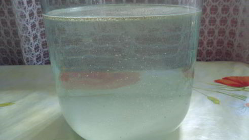 квас домашний