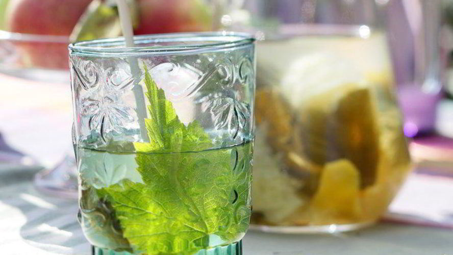 Рецепт лимонада с листьями смородины и мяты