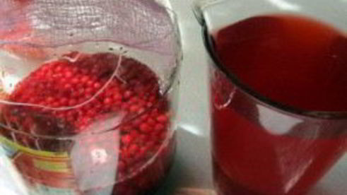 брусничный морс