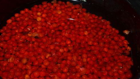 морс из калины