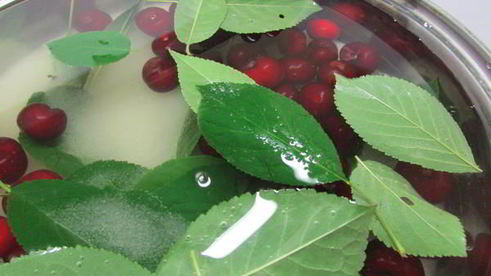 вишневая наливка