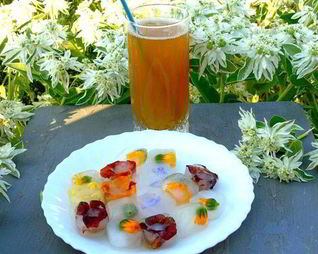 Напиток из календулы с цветочным льдом