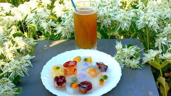 Рецепт Напитка из календулы с цветочным льдом