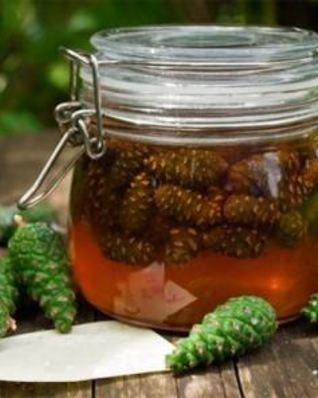 Сироп из сосновых шишек