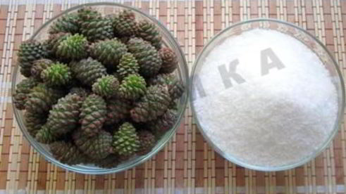 сироп из сосновых шишек