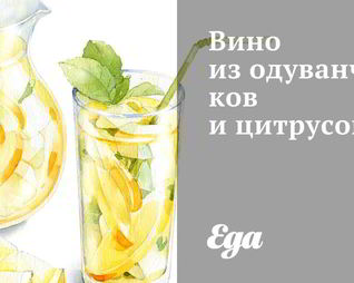 Вино из одуванчиков и цитрусов