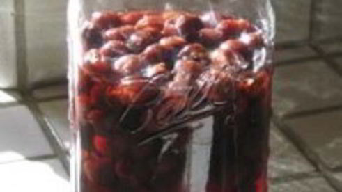 вино из смородинового варенья