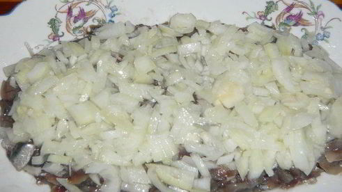 хамса под шубой