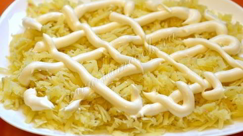 селедка под шубой с яблоком