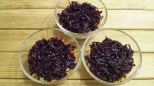 вегетарианская селедка под шубой с нори