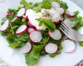 Салат с ботвой редиски и зеленым луком