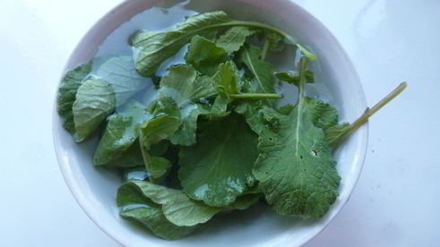 салат с ботвой редиски и зеленым луком