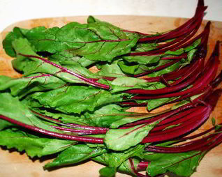 Ботвинья — борщ из листьев молодой свеклы