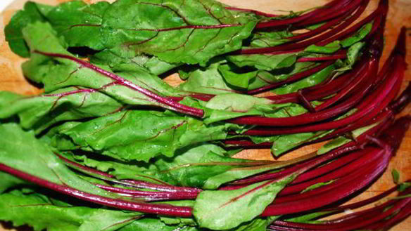 Рецепт Ботвиньи — борща из листьев молодой свеклы