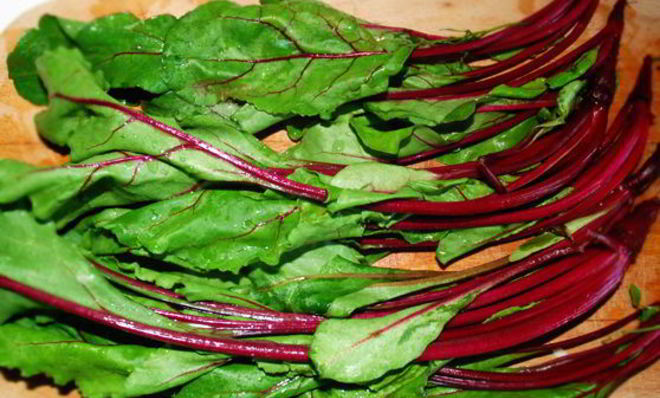 Ботвинья — борщ из листьев молодой свеклы