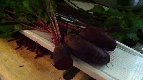 ботвинья — борщ из листьев молодой свеклы