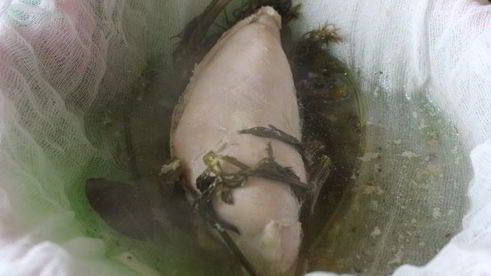 куриный суп с лапшой и грибами