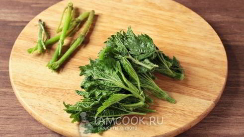 рассольник с рисом и крапивой