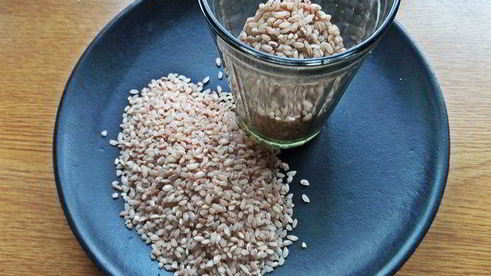 рыбный рассольник