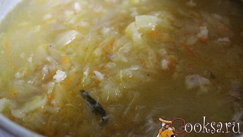 кислые щи с перловкой