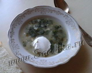 Щи из крапивы