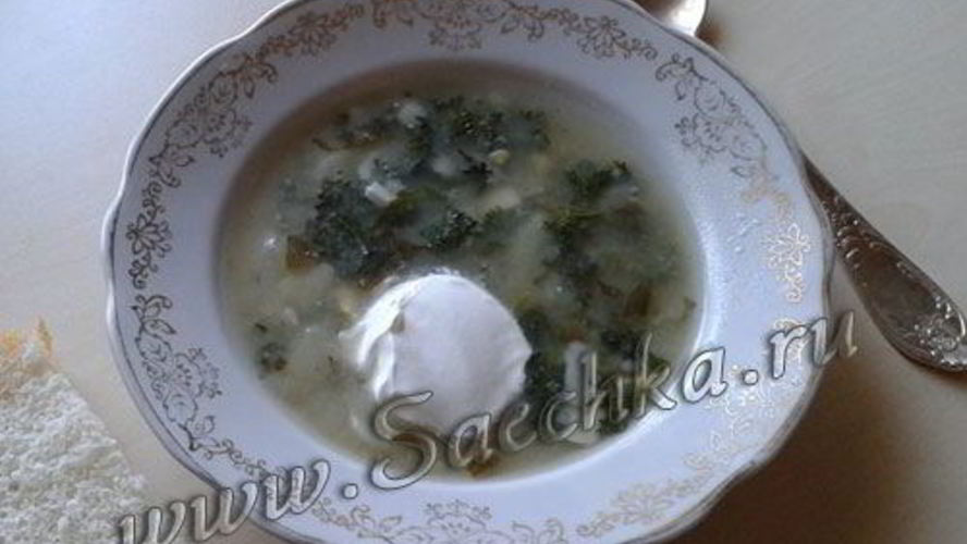 Рецепт щей из крапивы