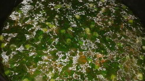 щи из квашеной капусты в мультиварке