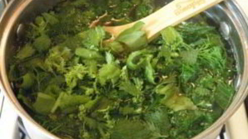 щи из щавеля и крапивы