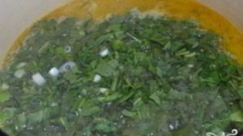 щи из щавеля с капустой