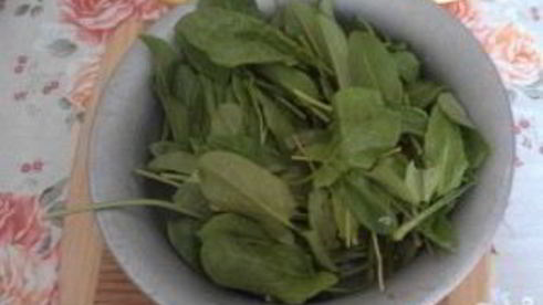 щи из щавеля с мясом