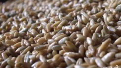 щи московские