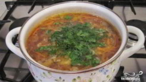 щи суточные