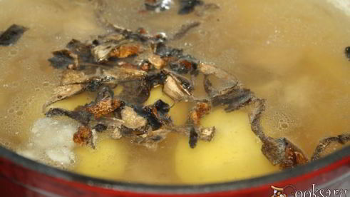 суточные щи со свининой и сушеными грибами на квашеной капусте