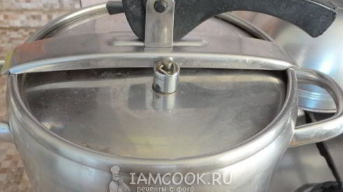 зеленые щи из кисленицы