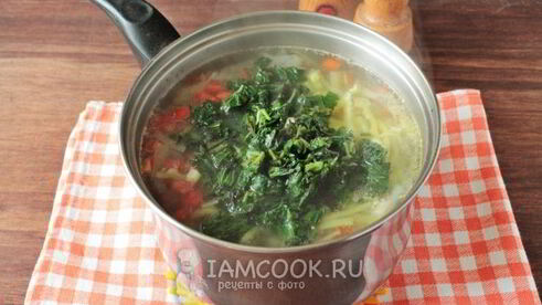 зеленые щи с капустой и крапивой