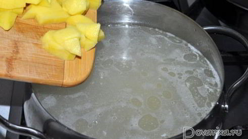 грибная солянка