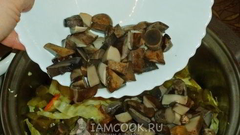 солянка овощная с маринованными подосиновиками