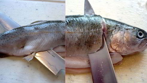 средиземноморская уха с гриссини жил отважный капитан