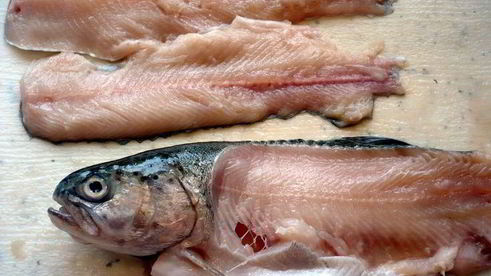 средиземноморская уха с гриссини жил отважный капитан